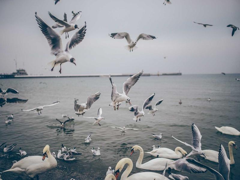 sudoku brain exercise screenshot 3